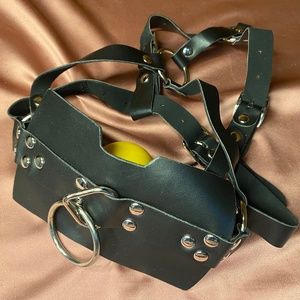 Full head restraint with ball gag- sanitized